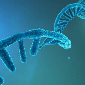 Top 5 RNA Therapeutics Companies to Watch in 2022
