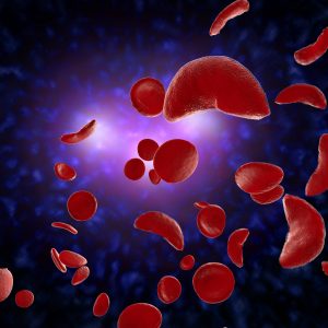 Centogene and Agios Expand Rare Blood Disease Partnership