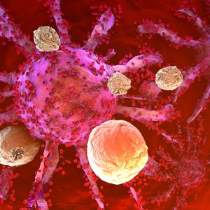 Cancer-Fighting CD8+ T Cells May Get New Life from Lactate