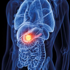 Controller of Digestive Enzymes Could Be Target for Pancreatic Disease Treatments