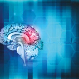 Biomarkers Found for Phases of Traumatic Brain Injury