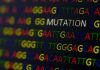Scientists Unveil Enzymes Driving Cancer Mutations