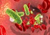 Single-Cell Blood Culture Test Shortens Sepsis Diagnosis from Days to Hours