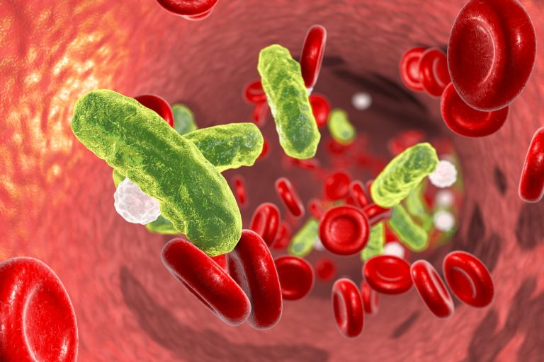 Image showing bacteria next to blood cells in a blood vessel to illustrate what happens prior to sepsis setting in