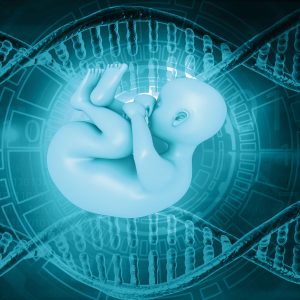 Viral Gene Protects Embryos from Infections