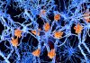 Multiple Sclerosis Severity Predicted Years Earlier Using Machine Learning