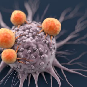 Researchers Uncover How Tumors Make Immune Cells Go Rogue