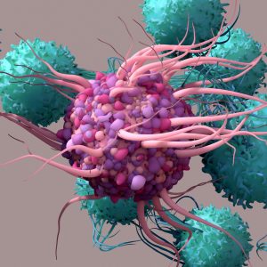 New Mechanism Behind T Cells Eliminating Cancer Cells Uncovered