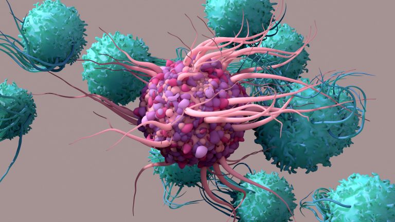 T-Cell Behavior in Tumors Affects Immunotherapy Response