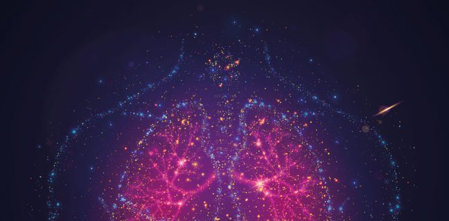 Image of the lungs to illustrate individuals with chronic obstructive pulmonary disease (COPD)