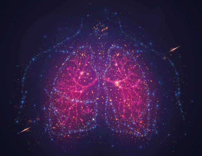 Image of the lungs to illustrate individuals with chronic obstructive pulmonary disease (COPD), which can be influenced by genetic variation in EPAS1 gene, which impacts oxygen saturation in the blood