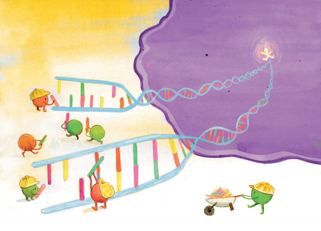 Jackets and Genes book illustration