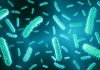 New Antibiotic Developed That Is Effective against Treatment-Resistant Bacteria