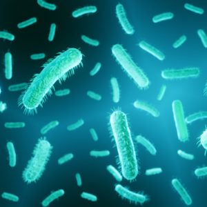 Bacterial Microbots May One Day Fight Cancer