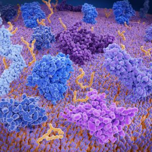Reducing Hypoxia May Improve Immunotherapy