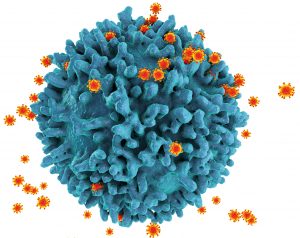 HIV viruses, illustration