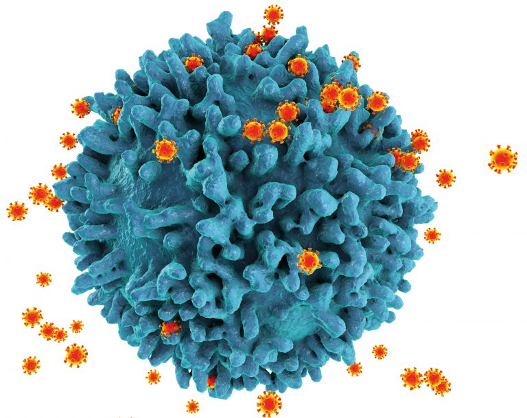 HIV viruses, illustration