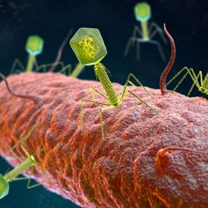 Fighting Antibiotic Resistance with Biology