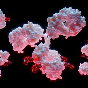 Exelixis and Ajinomoto Ink Antibody-Drug Conjugate for Cancer Deal