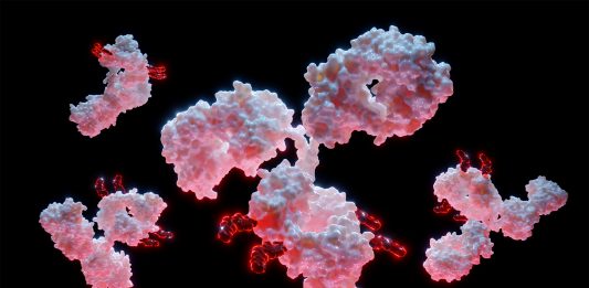 3D Rendering of Antibody Drug Conjugate Molecules