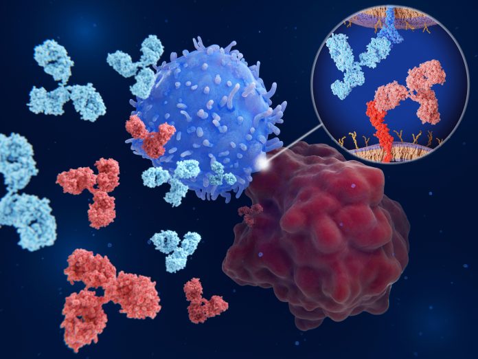 Immune checkpoint inhibitors: Interaction between PD-1 (blue) on a T-cell and PD-L1  (red) on a cancer cell  blocked by therapeutic antibodies