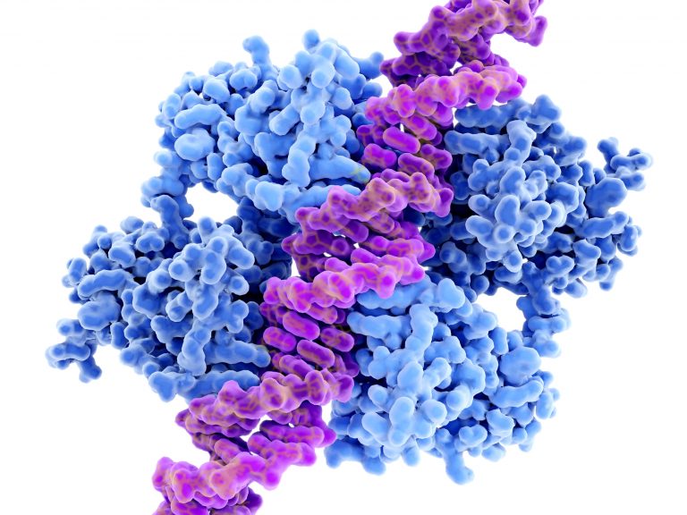 DNA binding to anti-cancer protein p53