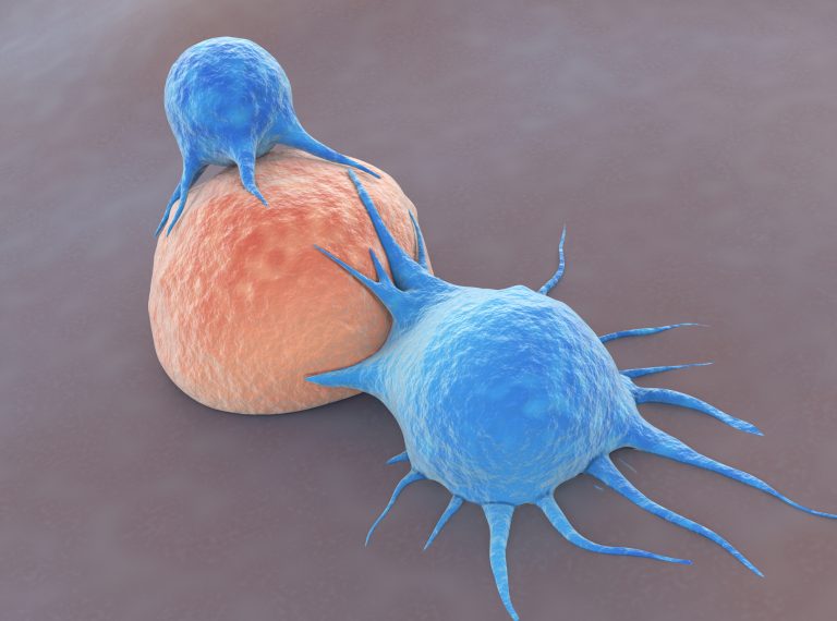 Researchers Engineer CAR T Cell Therapy for Advanced Ovarian Cancer