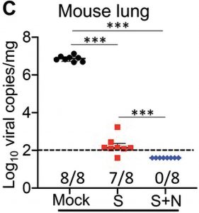 Gráfico de pulmón de ratón