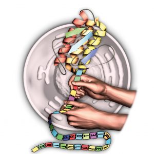 Single-molecule protein sequencing