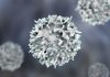 Newborns' T Cells Outperform Adults in Fighting Infections