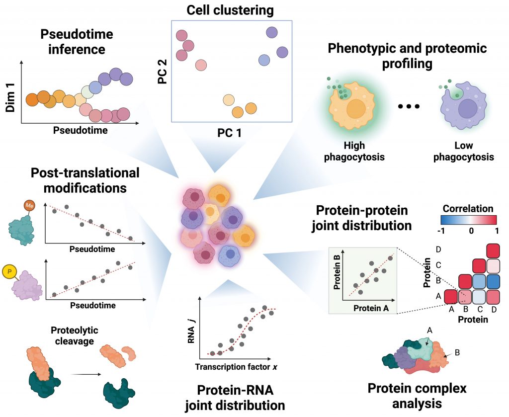 Applications of single cell proteomics illustration