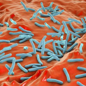 FDA-Approved Antibiotic Regimen for Multidrug-Resistant TB May Not Work for TB Meningitis