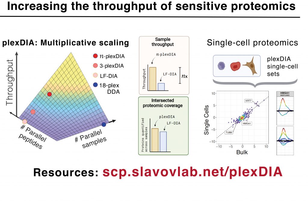 Increasing the throughput of sensitive proteomics