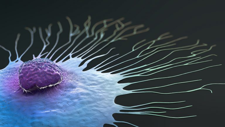 Scientific illustration of a migrating breast cancer cell - 3d illustration