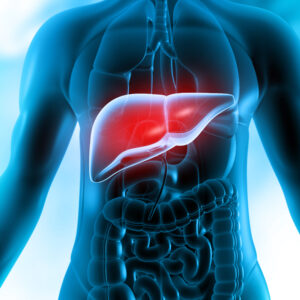High Levels of CPS1 in Blood Indicate Need for Liver Transplant