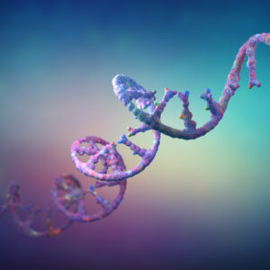 Inhibiting a MicroRNA Could Slow Age-Related Conditions