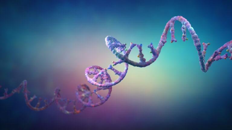 3D illustration of ribonucleic acid (RNA) strands