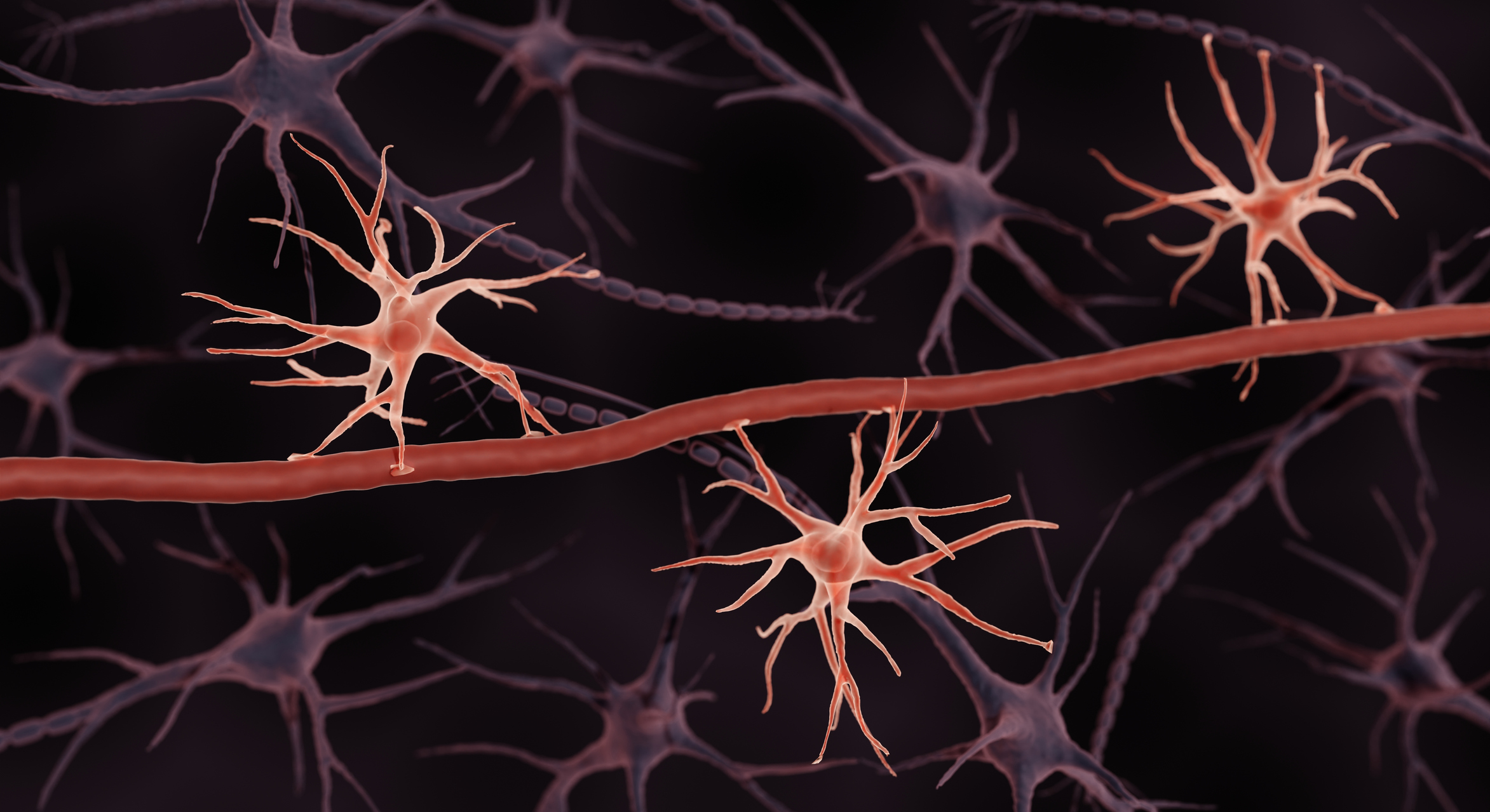 Researchers Uncover New Blood Biomarker Predicting Alzheimer’s Development in the Cognitively Healthy