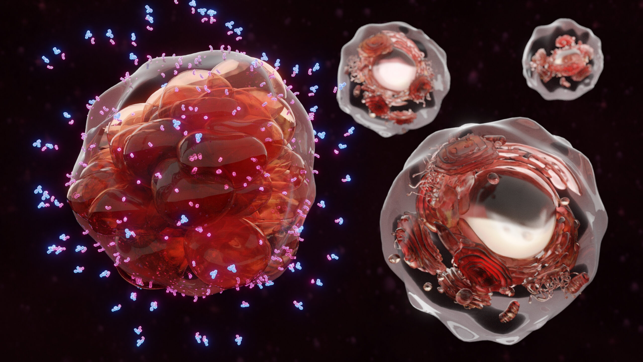 Startup Siren Biotechnology Touts Its AAV-Cytokine Immunotherapy as Potentially Effective against All Cancers