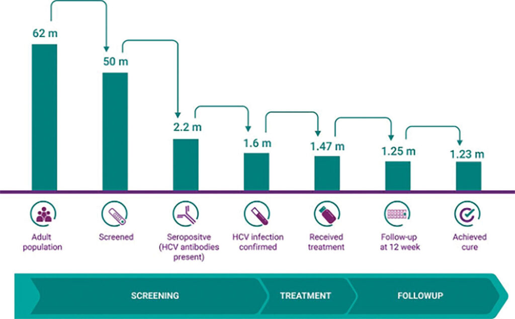 Hepatitis C Virus Screening and Case Cascade chart