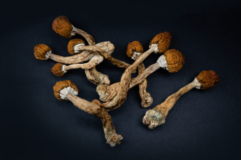 Psilocybin. psychedelic mushrooms