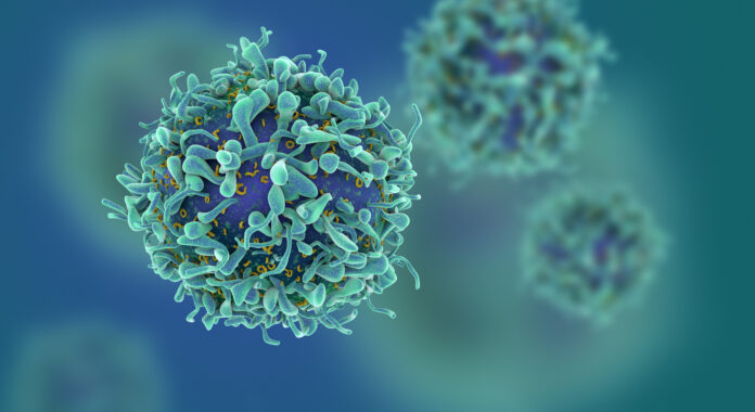 T-cells' background, T cells