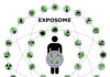 Fully Exposed: Understanding the Exposome Can Drive the Future of Health and Wellness