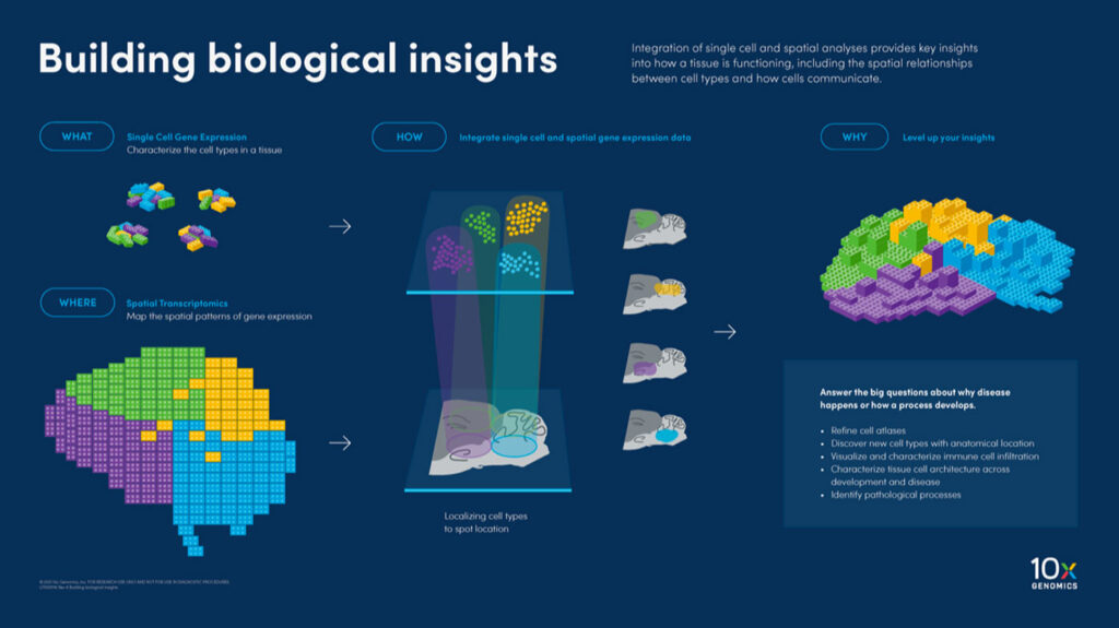 Building biological insights graphic