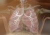 Targeting Iron Uptake Shows Promise for Treating Asthma and Other Allergic Diseases