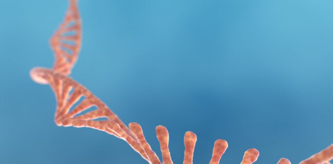 Single strand ribonucleic acid, RNA research