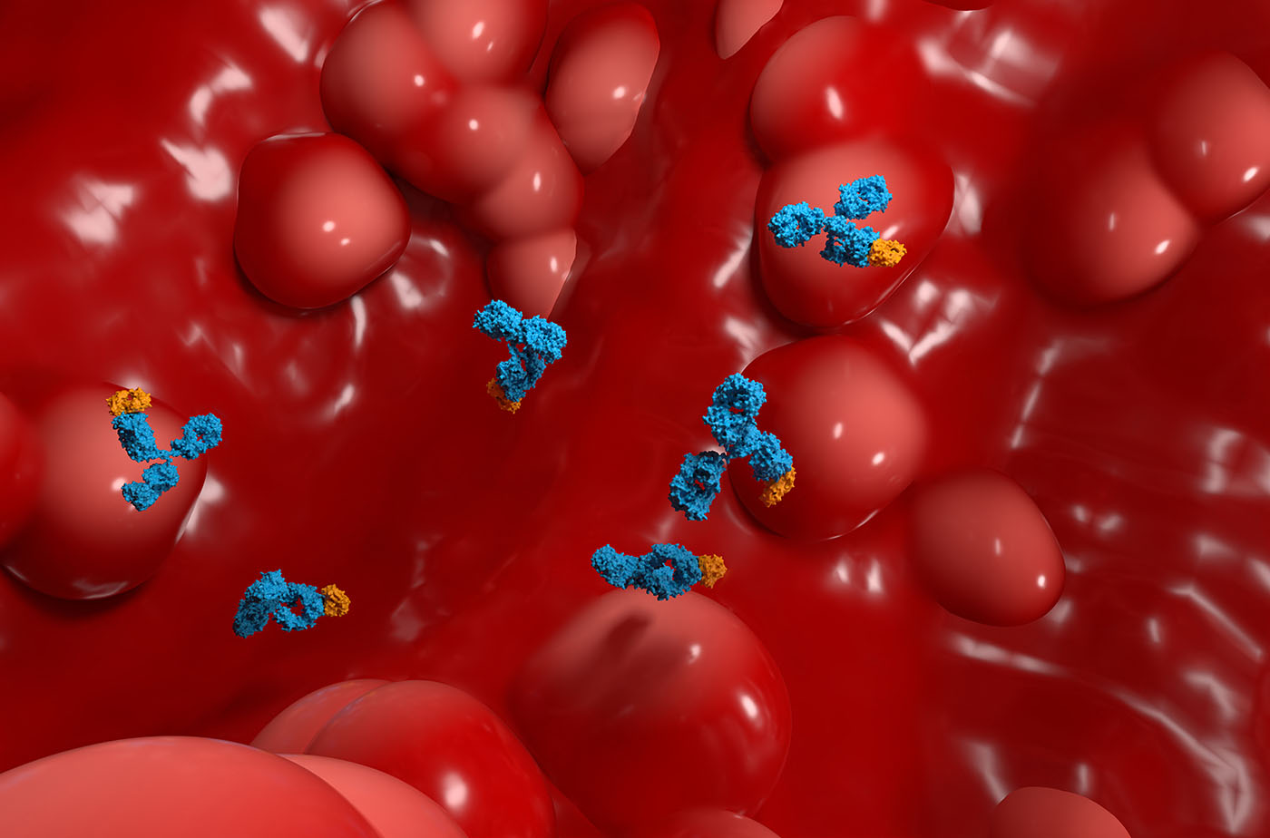 Antibody Signatures Could Reveal IBD Risk 10 Years Before Diagnosis