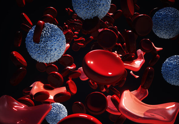 1369915538 Thalassemia, illustration