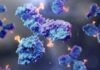 Before the Hype: Five Early-Stage ADC Startups to Watch