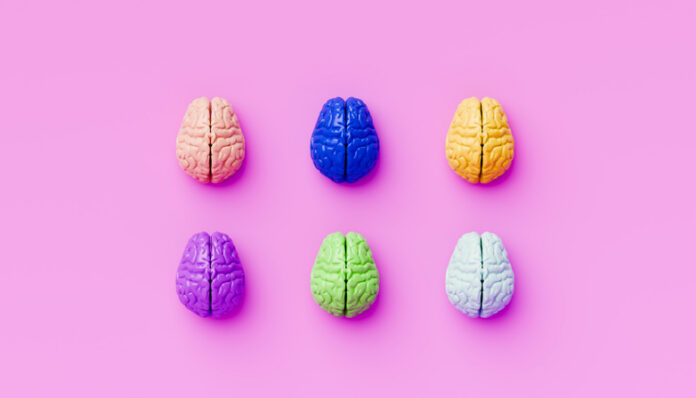 2281720682 Six Colorful Human Brain Models Arranged in Grid on Pink Background Symbolizing Diversity of Thought in the Innovation Process